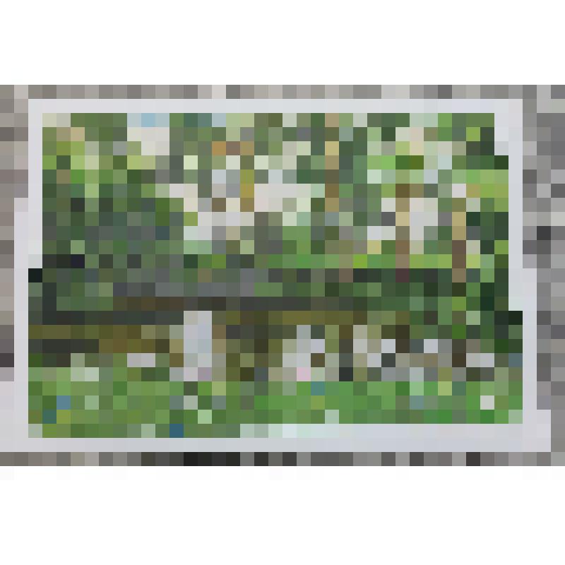 Картина "Озеро в полях"