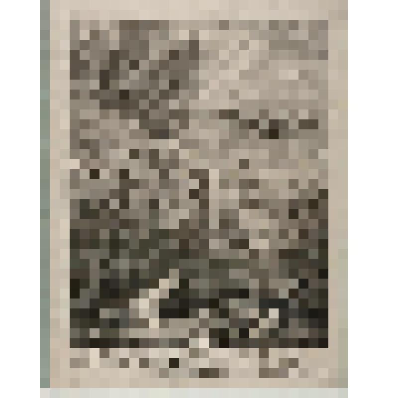 Гравюра. Озеро с утками