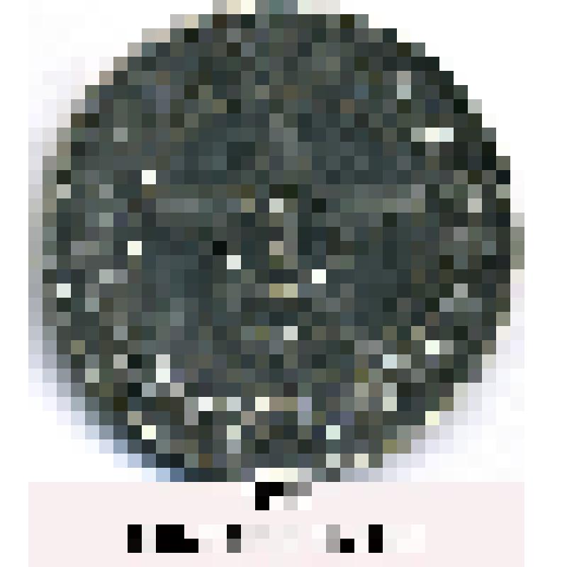 Монета. 1 рубль