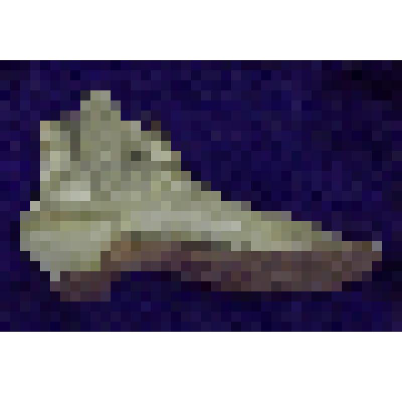 Ботинок женский (левый)