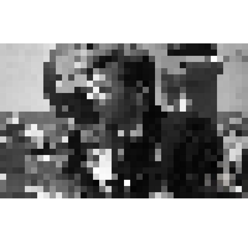 Негатив. Григорьев Николай Григорьевич, фотокорреспондент газеты "Флаг Родины" в 1951-1987 гг., на фотосъемке в море