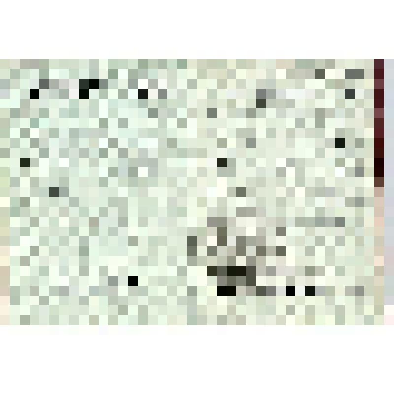 Орденская книжка   Д №84203