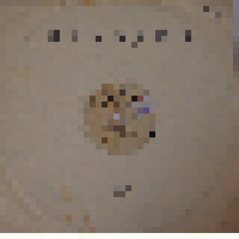 Грампластинка. Министерство Культуры СССР. Фирма «Мелодия». Ленинский завод. Мельница. 1 сторона. Незнакомка. Старый друг. Любимчик Пашка. 2 сторона. Мельница. День рождения. Летучий Голландец. Мастер и Маргарита