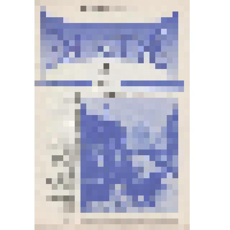 Журнал. Кан-Алтай № 4, 1994 г. Ежеквартальный журнал. Номер посвящен 125-летию со дня рождения аалтайского художн ка Г.И. Чорос-Гуркина