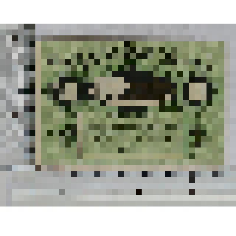 Германия, Люнебург (Luneburg). Нотгельд. 10 пфеннигов. Без обозначения даты ( 1920 г.)