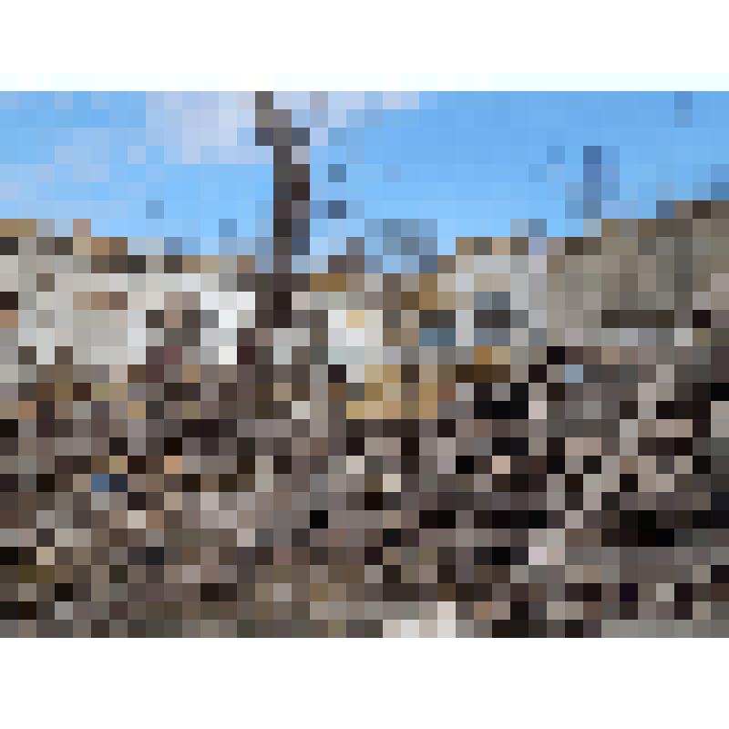 Фотография. Двор разрушенного цеха завода «Красный металлист». Вид на стену цеха с арочными проемами. В центре дерево, вокруг – строительный мусор. г. Ставрополь. 2016 г