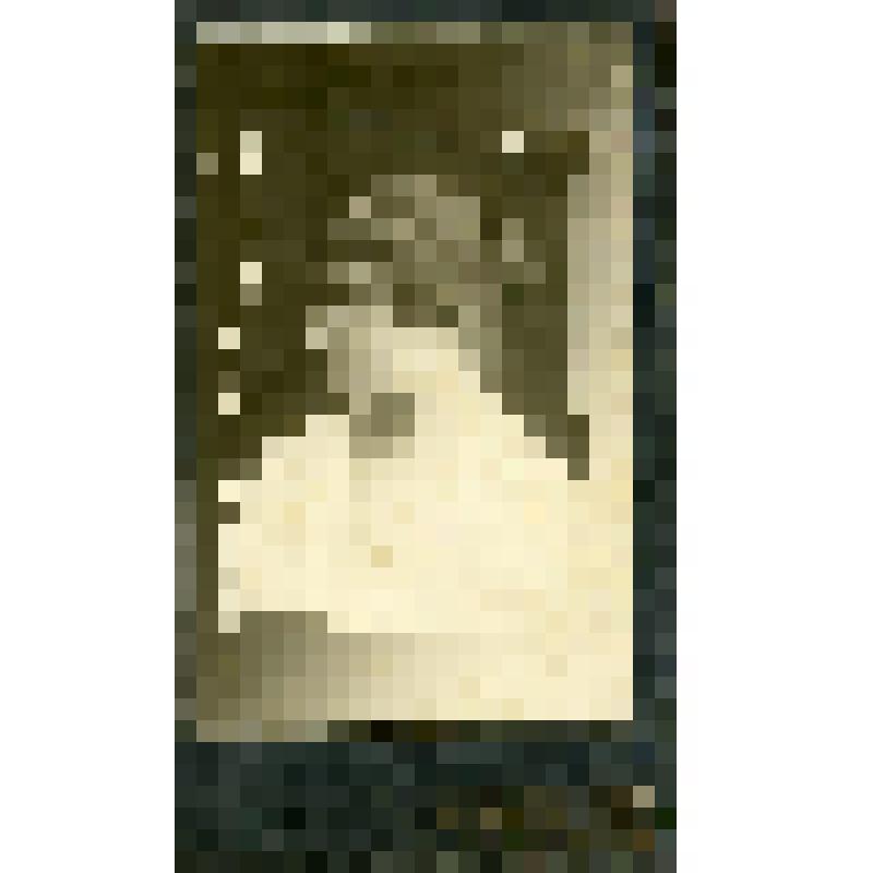 Фотография. Портрет подруги Беркутовой  Марии Африкановны  (Галины)