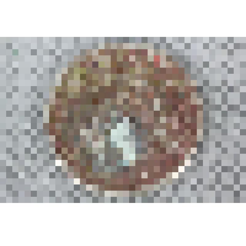 Монета 20 копеек