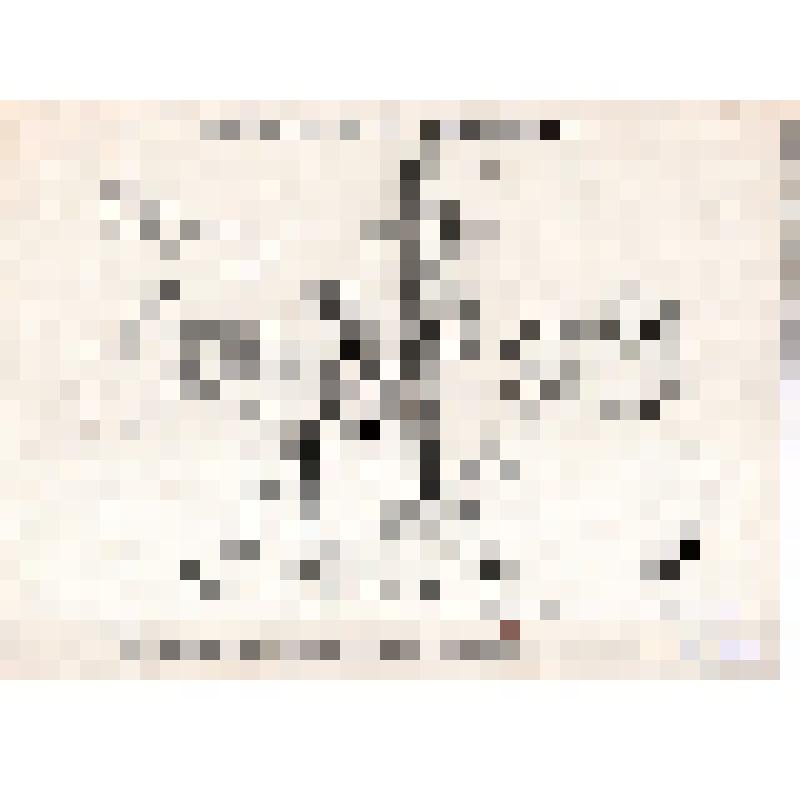 Гайд. Сердечное попечение об учащейся молодежи