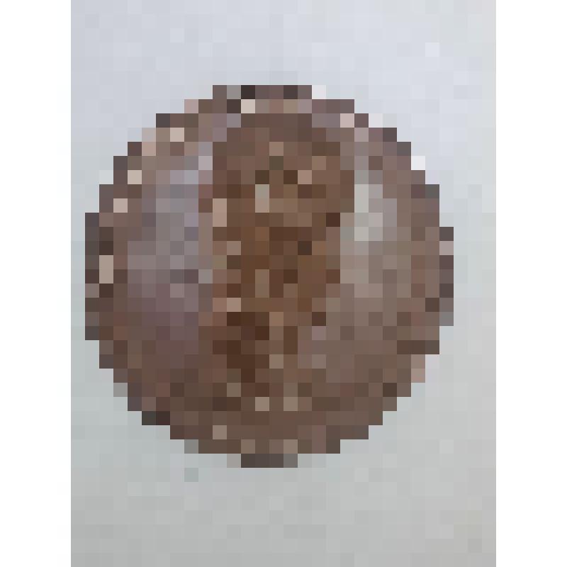 Медаль на завоевание Лифляндии в 1710 г