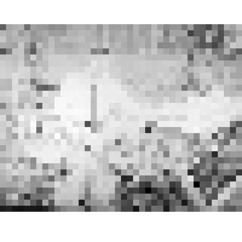 Фотография. Сухов Ф.Г. на опушке леса