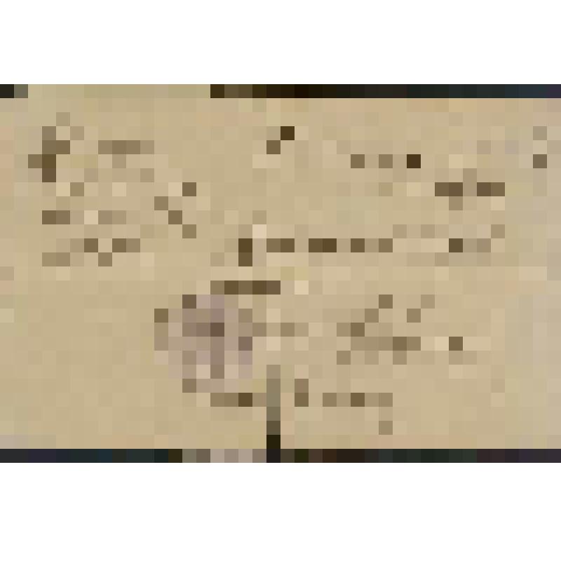 Документ. Предписание № 29  Председателя Ратчинского Комитета Обороны Ямбургского уезда Михайлова от 16.05.1919 года заведующему почтовым отделением села Ратчино Данилову Петру Никитичу эвакуироваться вглубь страны