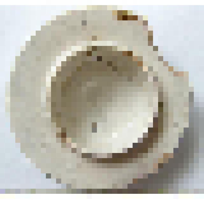 Крышка от чайника для заварки чая, археологически целая, орнаментированная