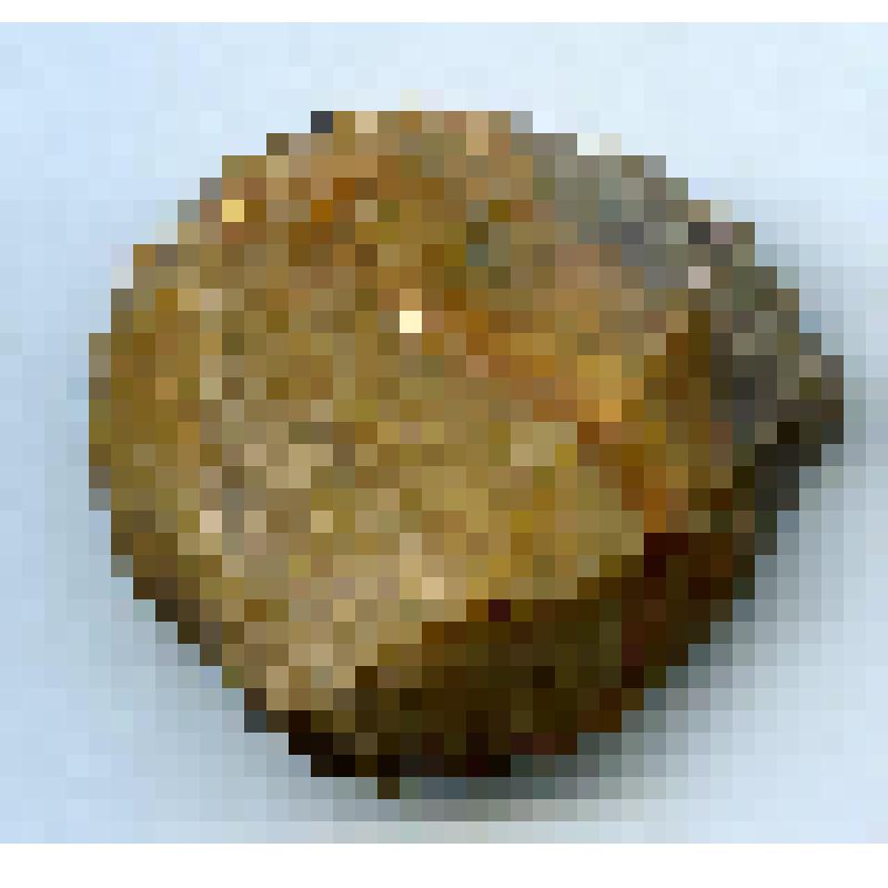 Скребок