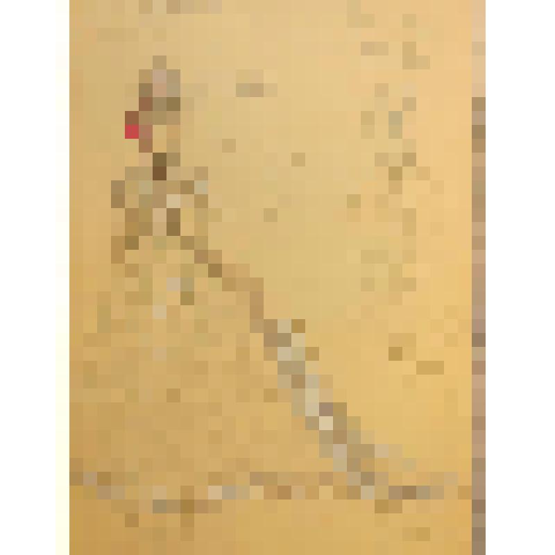 Эскиз костюма. "Мамаева".(вариант 2). "Не все коту масленица" (Режиссер А. М. Лобанов). Москва, Московский театр Сатиры