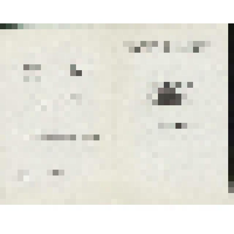 Программа. "Иван Сусанин" (Редакция - Пазовский А.М. и Баратов Л,В. Дирижер - Небольсин В.В. Режиссер - Баратов Л.В. Художник - Вильямс П.В.). Москва, Государственный академический Большой театр СССР