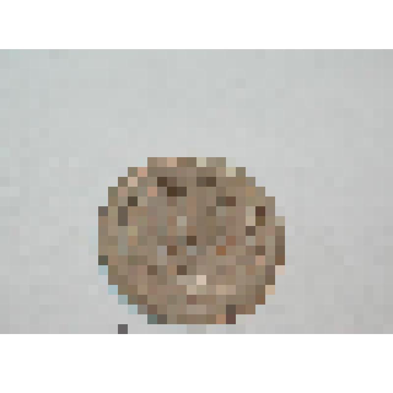 Монета. 10 рублей