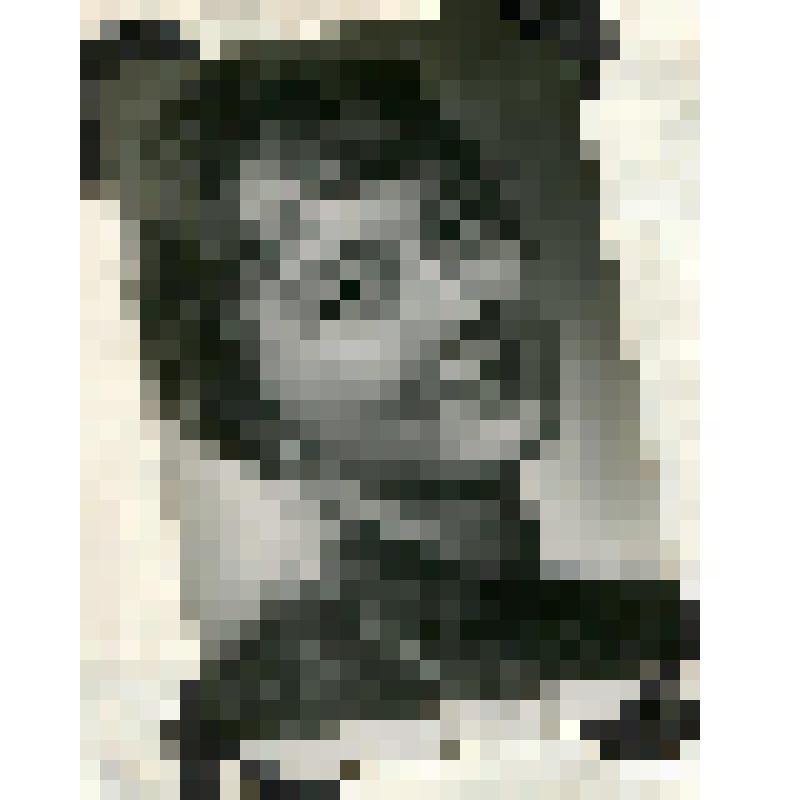 Фотооткрытка. А.А. ВЕРТИНСКАЯ.  Из тетради с фотооткрытками