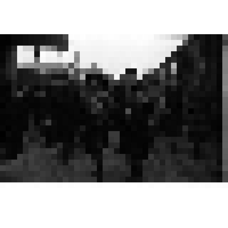 Мария Григорьевна Исакова (слева) и неизвестная женщина с букетами цветов идут по железнодорожной платформе вдоль состава