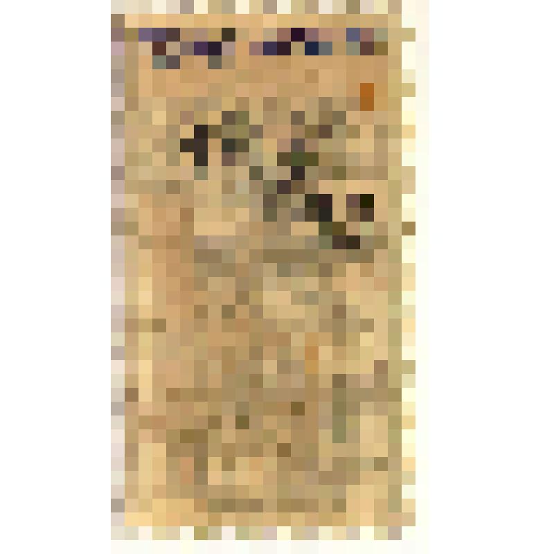 Марки почтовые. Марка почтовая. Гербовая марка. 6 к. золотом. (коричневый)