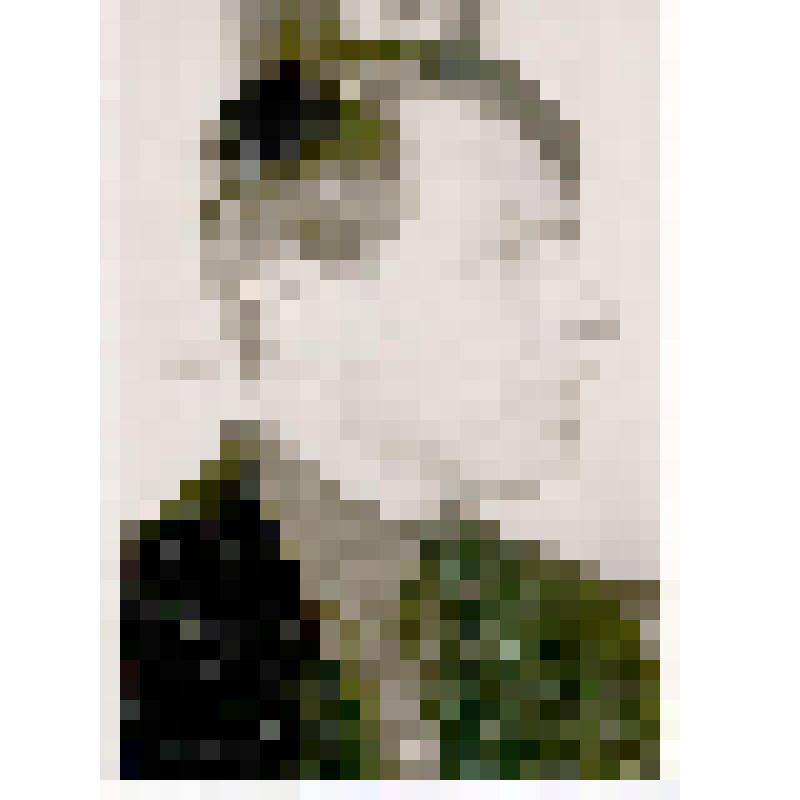 Фотографии. Кочин Н.И