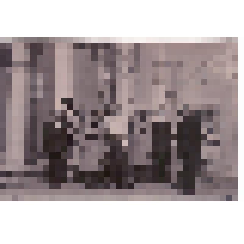 К.И. Кирсанова