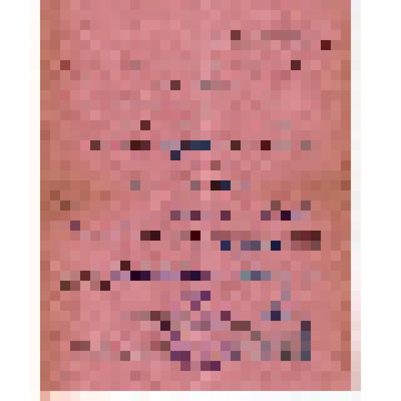 Мандат N 102 Солькина А.Ф., делегата II Полторацкой окружной партконференции (на русском и туркменском яз.)