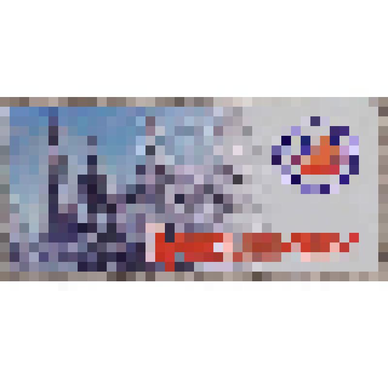 Приглашение на чемпионат мира по хоккею с мячом в Архангельске от Организационного комитета и Международной федерации по хоккею с мячом. 30 января-7 февраля 1999 г