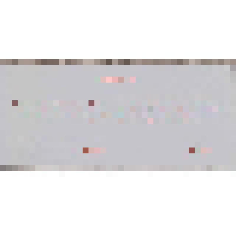 Приглашение на чемпионат мира по хоккею с мячом в Архангельске от Организационного комитета и Международной федерации по хоккею с мячом. 30 января-7 февраля 1999 г