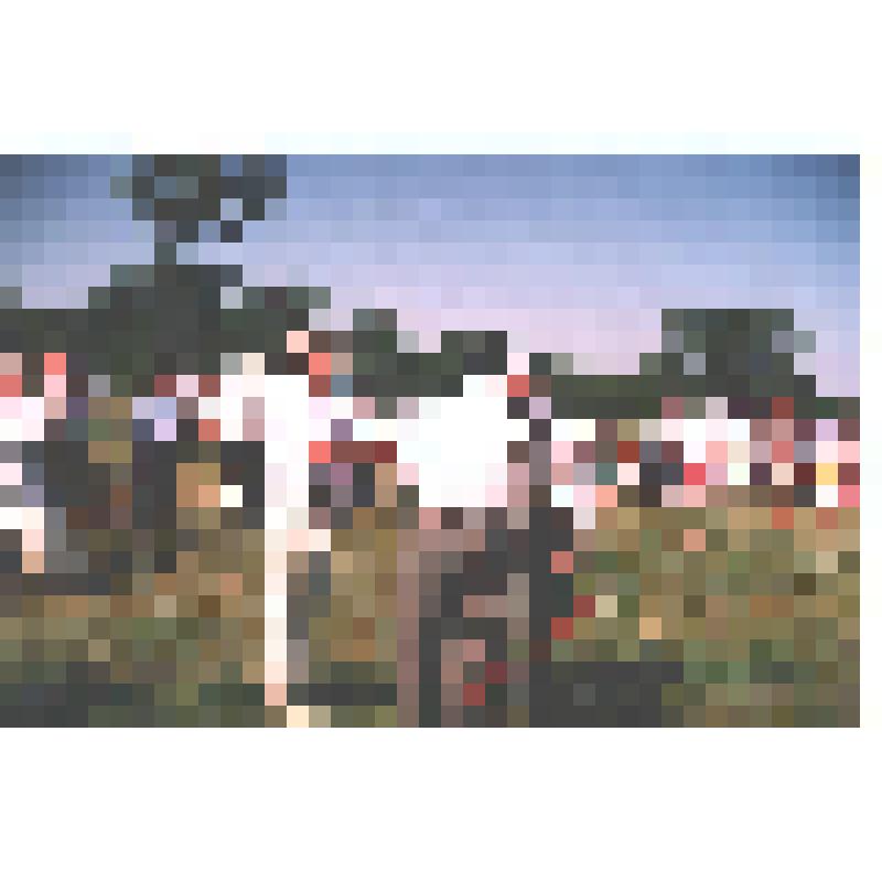 Фотография. С.С. Поляков и К.С. Баязитов награждают М.Г. Гатина