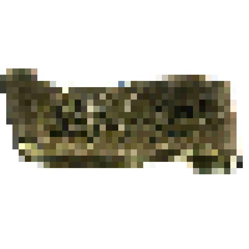 Значок. Тургенев И.С. на булавке. СССР