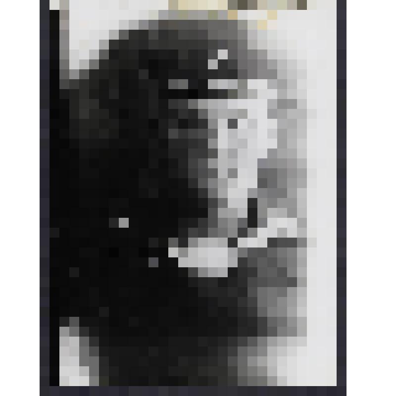 Фотография. Корж Петр Алексеевич - защитник г. Севастополя в Великую Отечественную войну, погиб в дзоте № 11. Корж П. А. матрос на бригаде ТК