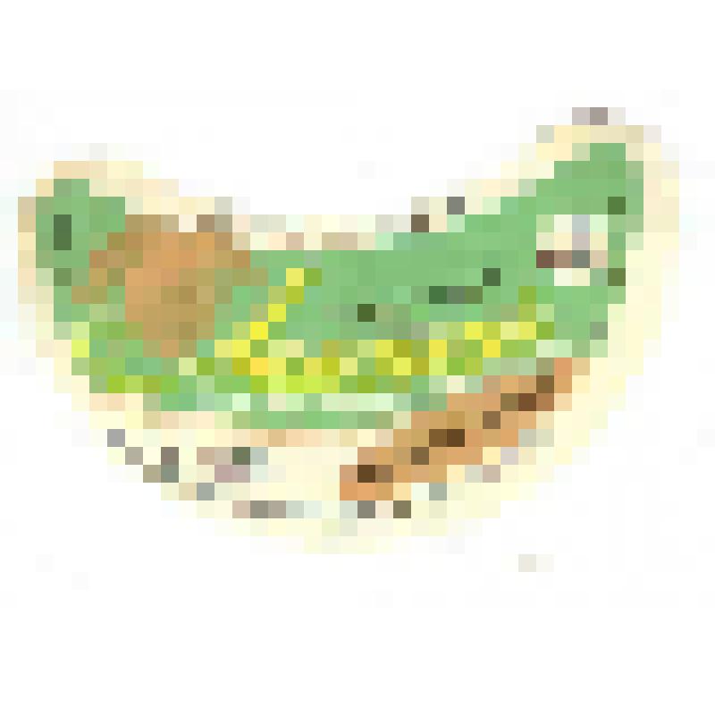 Кольеретка-этикетка горловая к напитку «Лимонный для больных диабетом» производства Жигулевского пивобезалкогольного комбината, из коллекции кольереток – этикеток горловых к безалкогольным напиткам