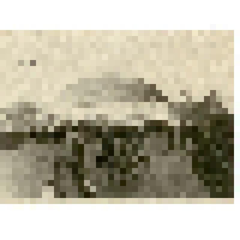 Фотография. Саратов. Здание цирка