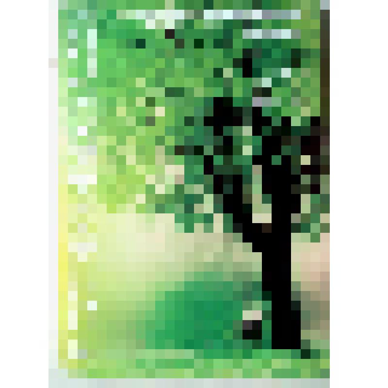 Книга литературно-художественного альманаха "У солнечных часов" №7