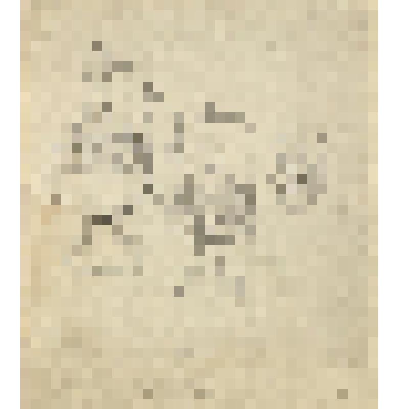 Зарисовка дагестанских кувшинов. Из альбома зарисовок «Дагестанские экспедиции Шиллинга 1939-1943 гг.» Часть 1. Чеканка и гравировка на медных кувшинах в селении Гоцатль. Орнамент на железных дверных кольцах в селении Хунзах