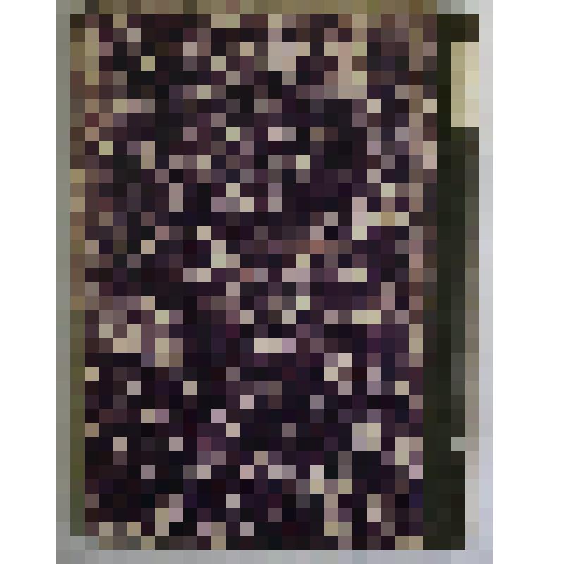 Книга. Кормление домашних животных, издание 3-е. Типография П.П. Сойкина