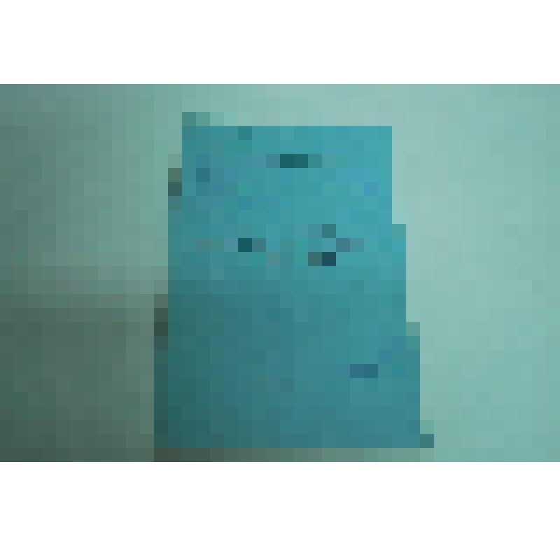 Инструкция о работе с документами в первичных партийных организациях. СССР. 1974 год