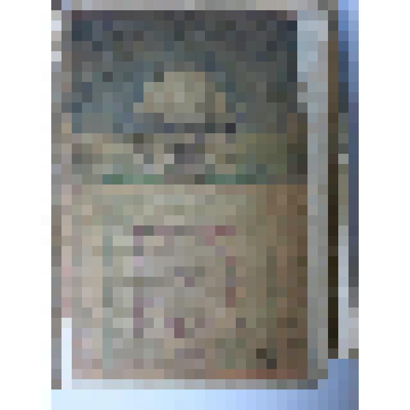 Альбом с проектными чертежами, с эскизами, зарисовками архитектурных памятников и деталей, произведений скульптуры и декоративно-прикладного искусства, пейзажными зарисовками, тематическими рисунками исторического жанра и по мотивам воспоминаний детства и