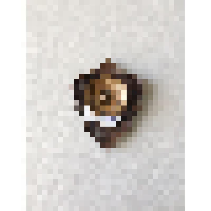 Знак «Отличный пограничник»