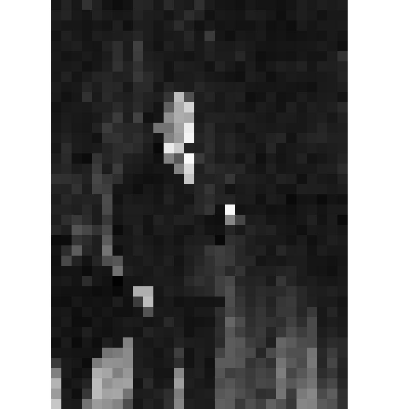 Негатив. Эйзен Артур - певец. 
Во время концерта в Центральном парке культуры и отдыха им. А.М. Горького в Москве