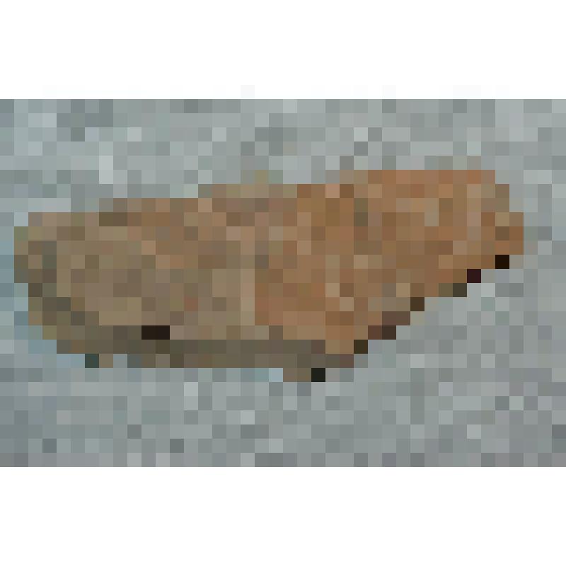 горная порода. Глина