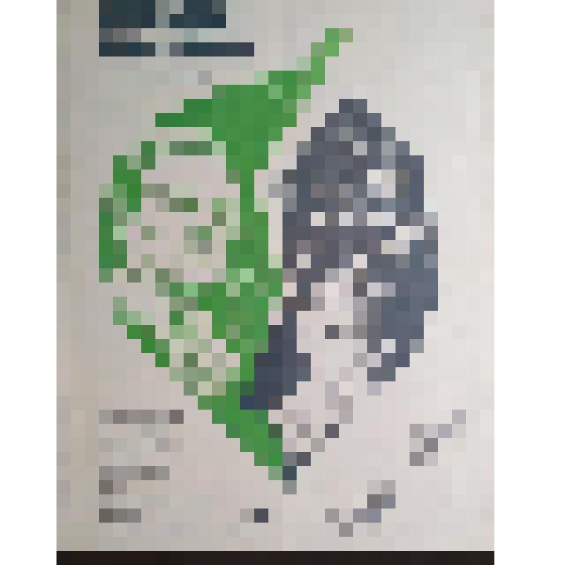плакат. Фильм: Крик тишины. 1981