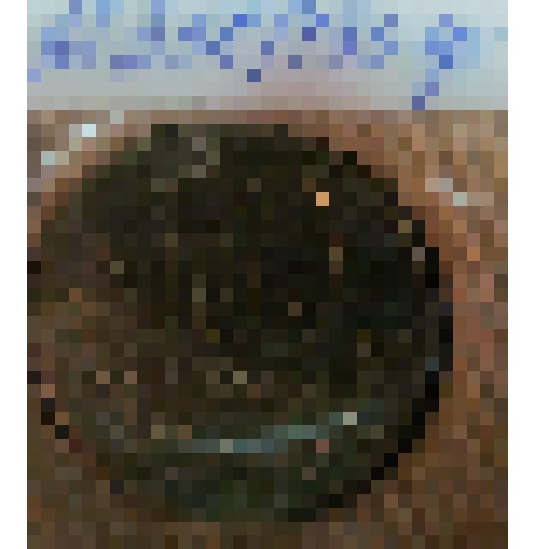 Монета иностранного государства. Республика Албания. Номинал 10 леков