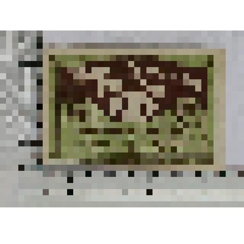 Германия, Роннебург (Ronneburg(Thur.)). Нотгельд. 25 пфеннигов. 1 июля 1920 г