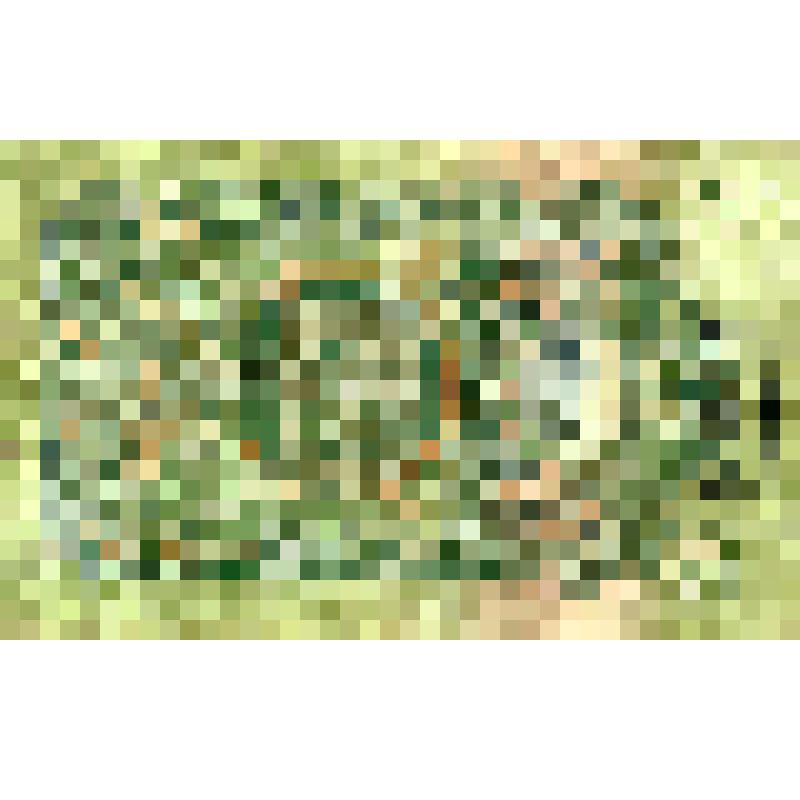 Билет государственный казначейский достоинством 3 рубля, год выпуска 1947. Серия Еэ 220096