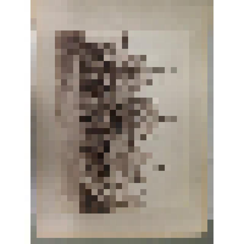 Топографическая фотография: Венеция. Собор Святого Марка. St.Marc
