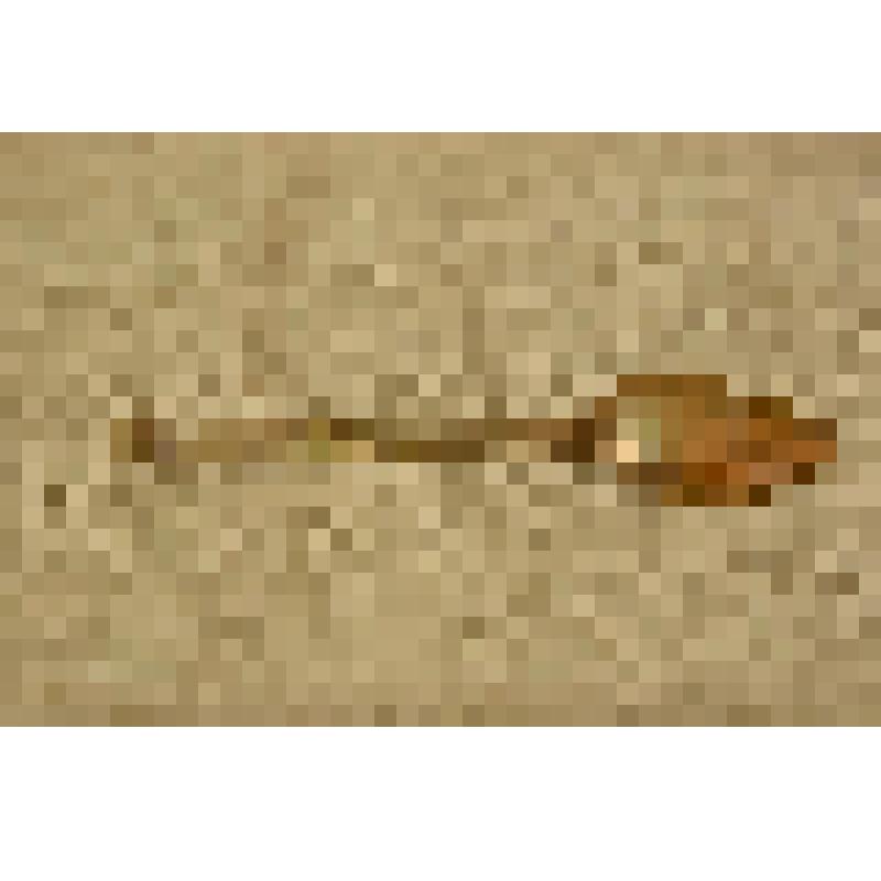 Ложка чайная