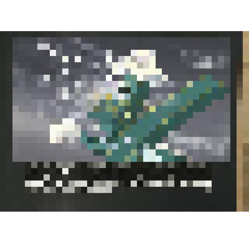 эскиз кадра к макету диафильма. Лист № 30: Снегоуборочная машина
Фильм: Рассеянная машина. 1981