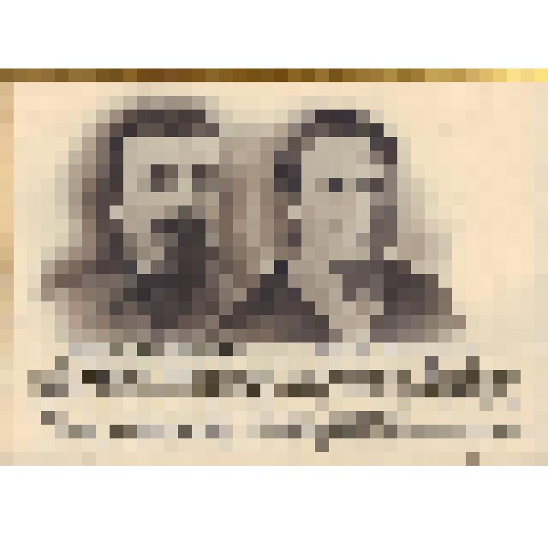 Найденов Андрей Ефремович с женой Найденовой Анной Ефремовной. (Найденов Андрей Ефремович - революционер, участник Гражданской войны). Фотопортрет